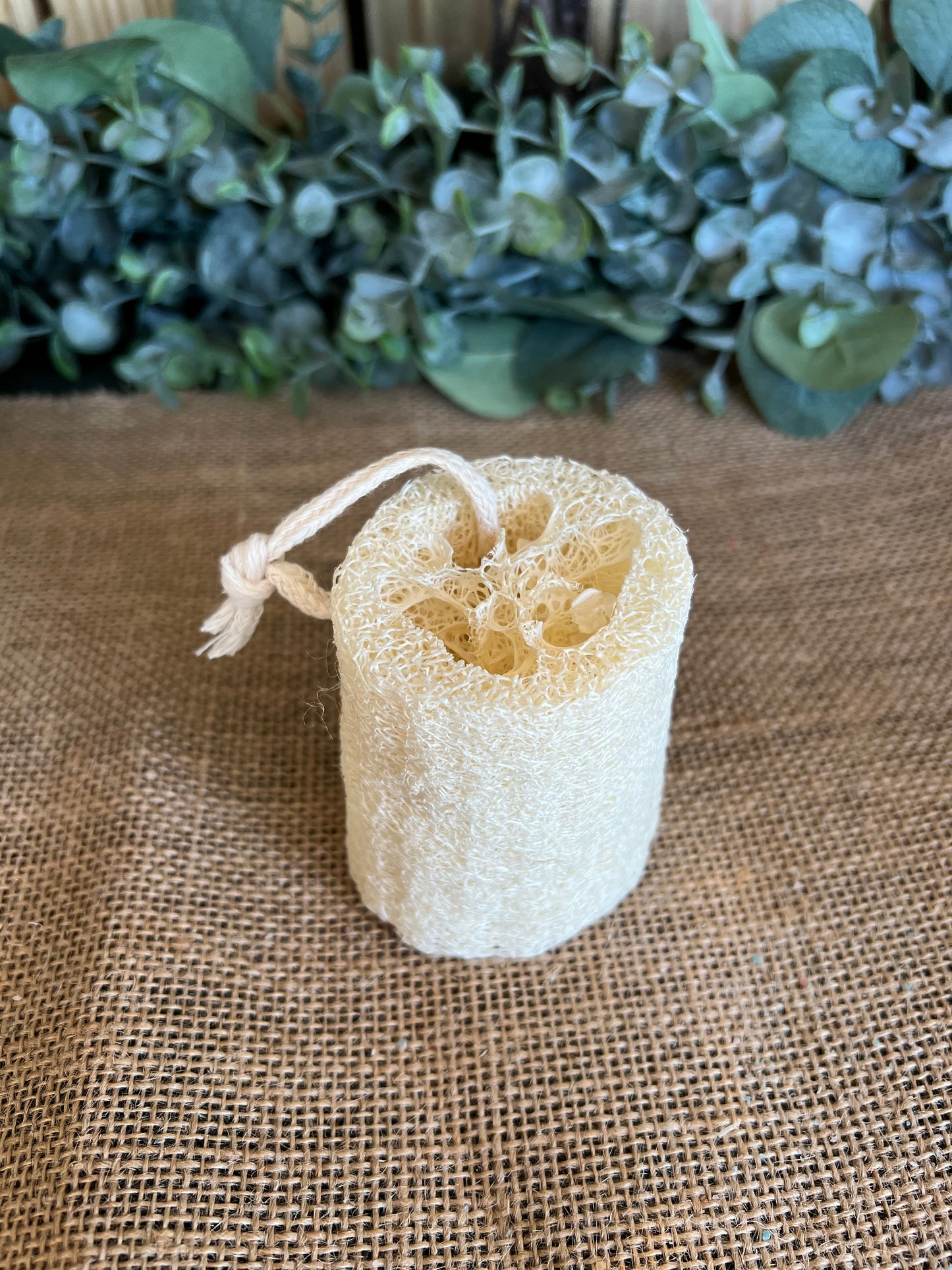 Loofa Sponge